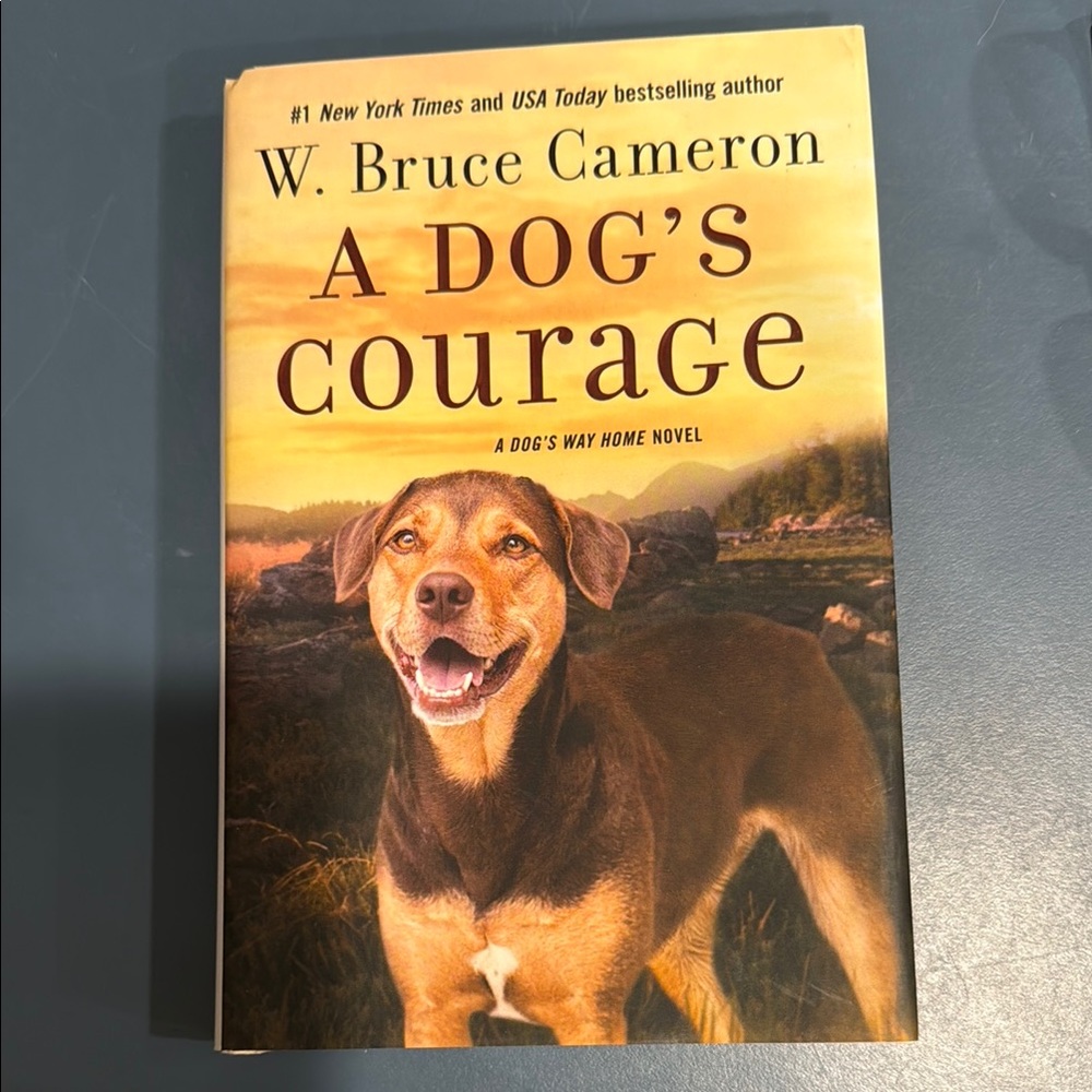 W Bruce Cameron A Dog’s Courage Novel